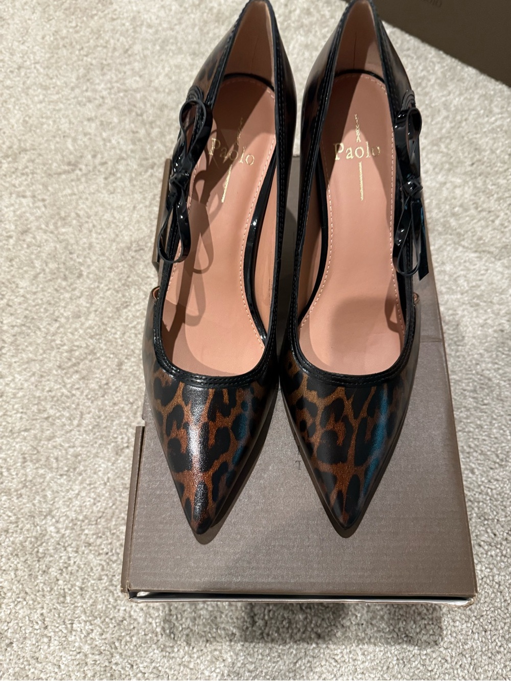Paolo Leopard-Pattern Pointed Toe Pumps in Brown and Black